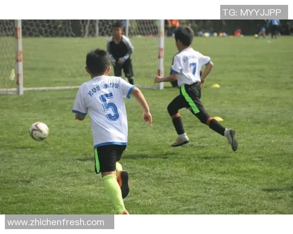 龙与小伙伴们在绿茵场上尽情玩耍足球的欢乐时光